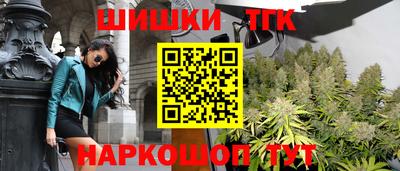 сатива Лесосибирск