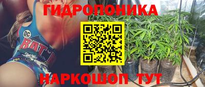 сатива Лесосибирск