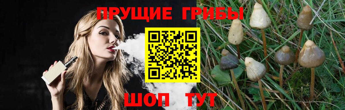 Псилоцибиновые грибы прущие грибы Заволжье
