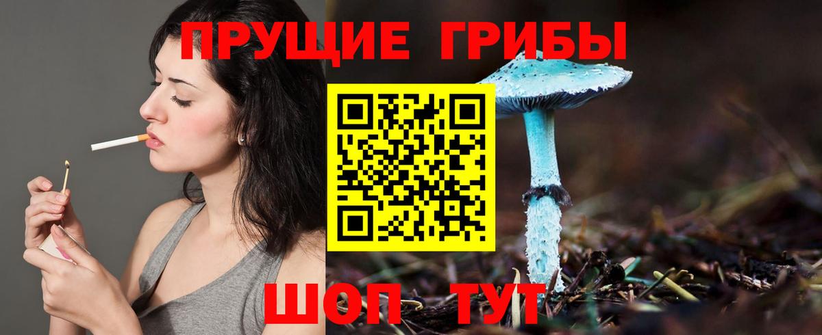 Галлюциногенные грибы Psilocybine cubensis  Галлюциногенные грибы прущие грибы  Вход с VPN  Заволжье 