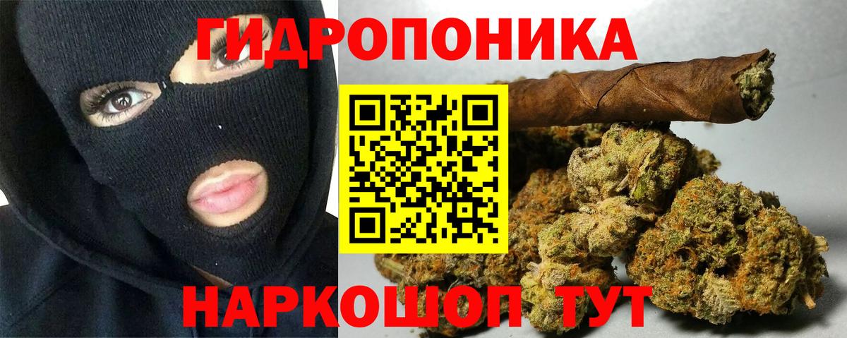 Бошки марихуана индика  Канабис план  Вход с VPN  Заволжье  Марихуана THC 21% 